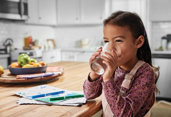 WF3CB, Puresource 3, Frigidaire WF3CB, Frigidaire Puresource, WF3CB water filter, Puresource 3 water filter, Refrigerator water filter, Fridge water filter, Replacement water filter, Water filter replacement, WF3CB replacement, Compatible with WF3CB, 242086201, PLF-WF3CB, Electrolux 242086201, WF3CB compatible, Puresource 3 filter, Ice and water filter, Water filtration, Refrigerator filter, Frigidaire refrigerator filter, PureSource 3 replacement, WF3CB filter, WF3CB refrigerator filter, Frigidaire water filter, Puresource 3 compatible, WF3CB 2-pack, Electrolux water filter